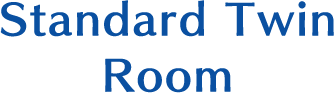 Standard Twin Room