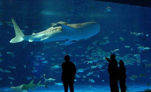 いおワールド鹿児島水族館