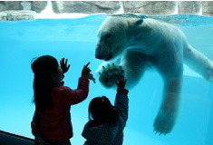 平川動物園